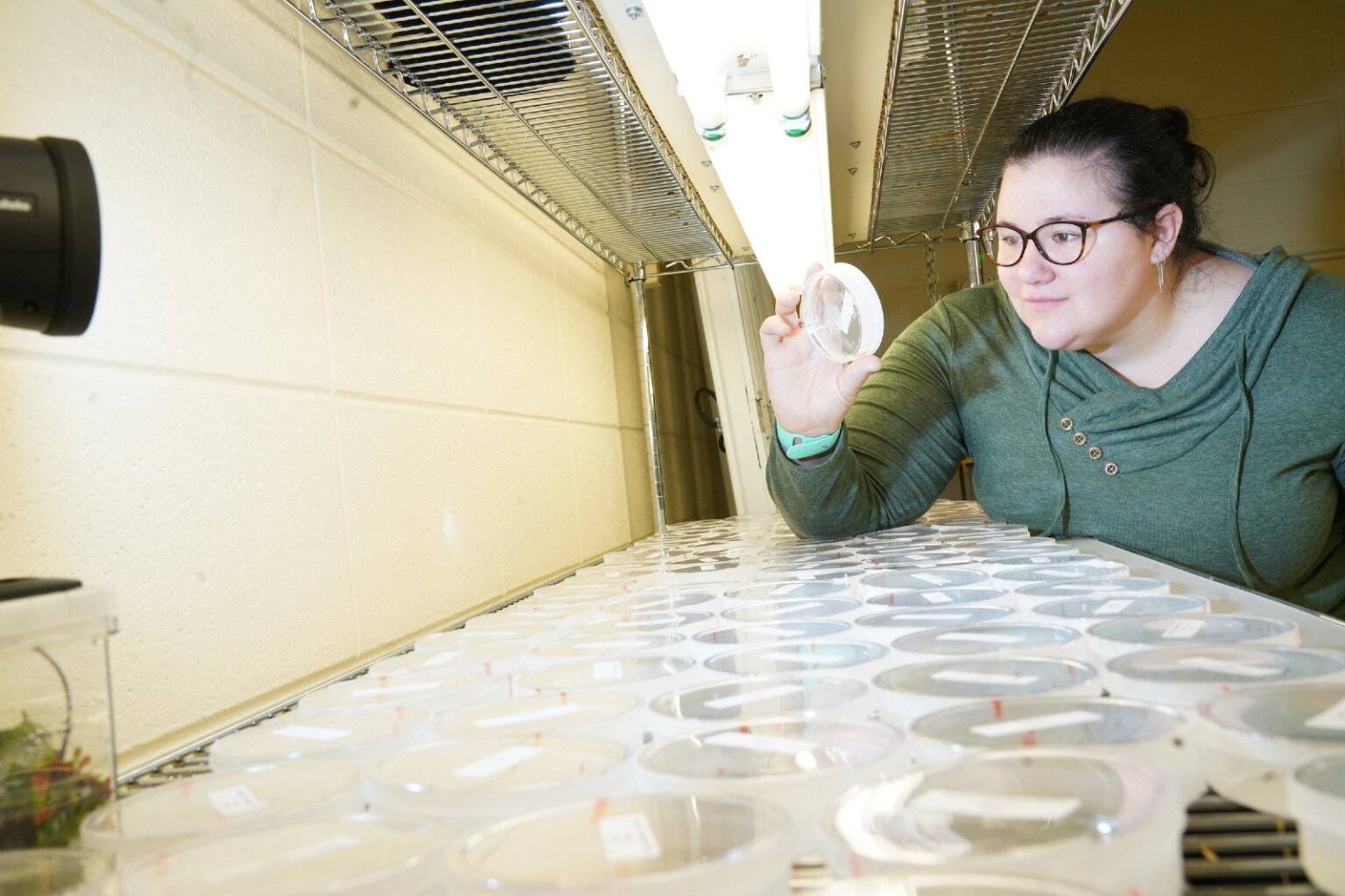 student working in the lab 