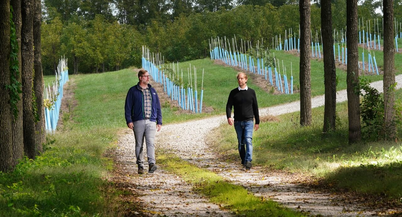 Matt Ginzel and Douglass Jacobs walking in a hardwood plantation