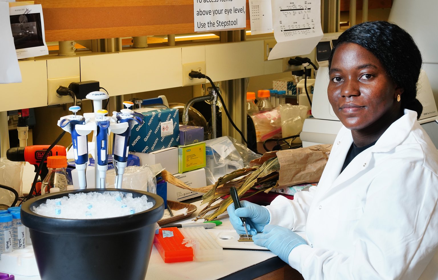 student making notes on the lab