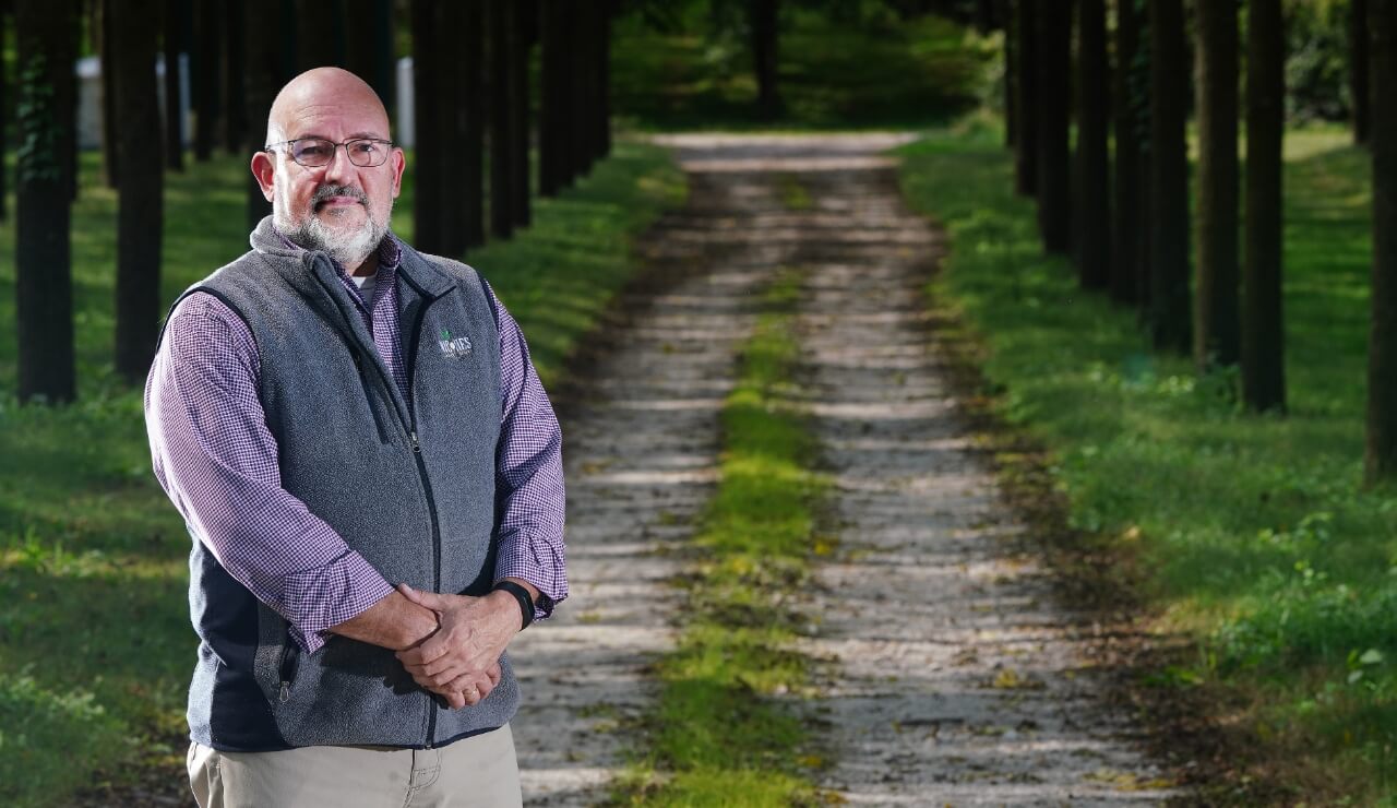 Pardillo in a hardwood plantation