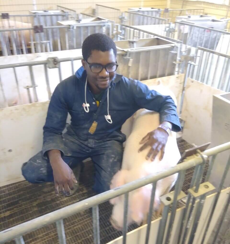 Ayodeji Aderibigbe with pig