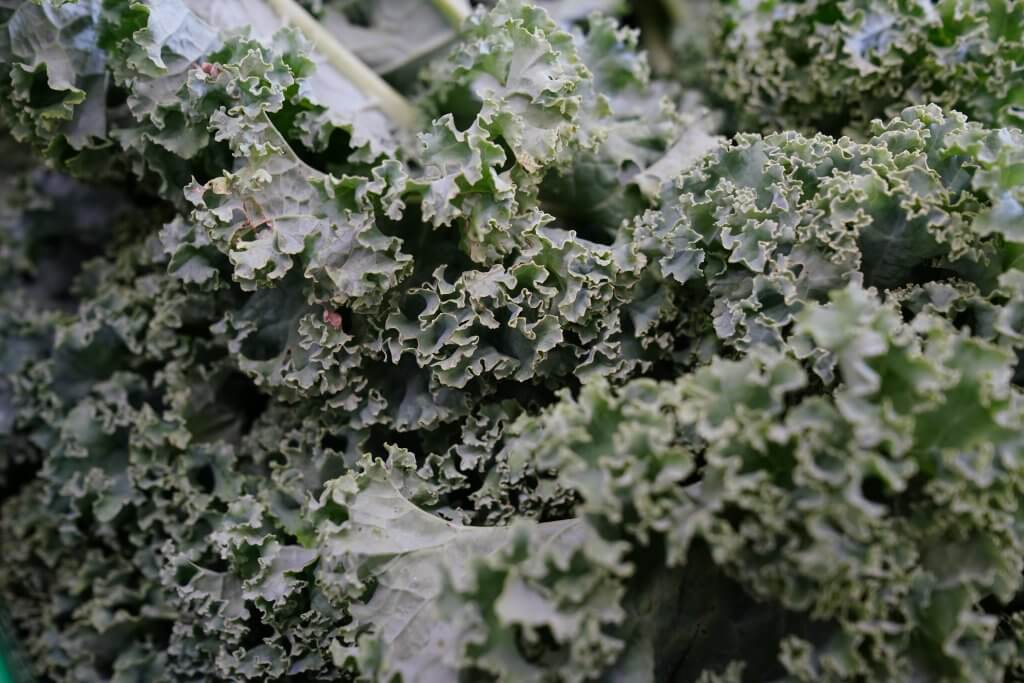 curly kale bunch