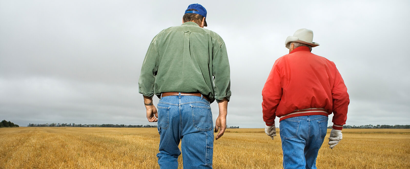 Male farmers walking on a field (sight from their backs)