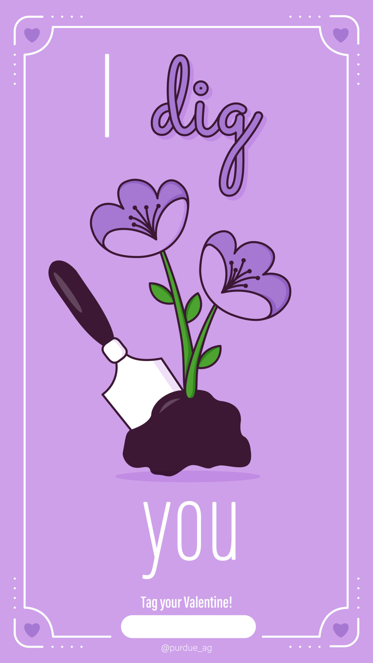 Cartoon drawing of a plant with purple flowers