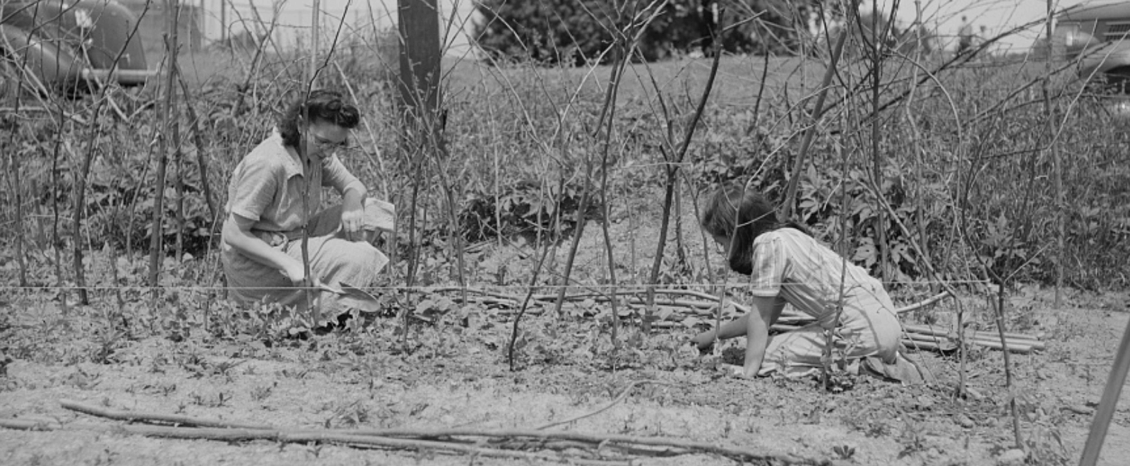 Women and a young girl doing gardening activities