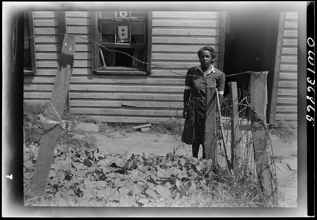 An African American female resident of southwest section and her victory garden