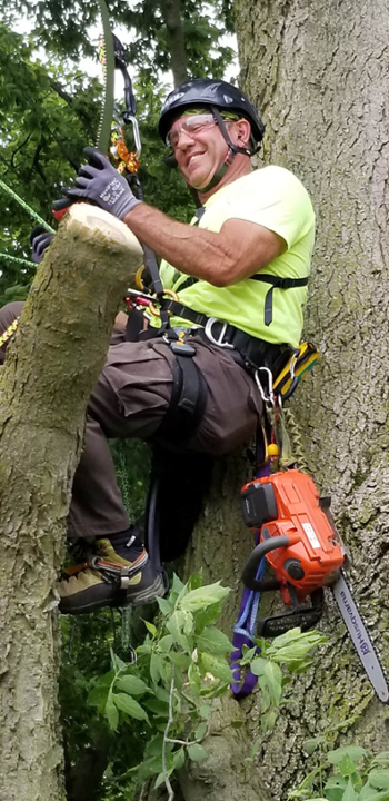 Lindsey Purcell (with safety equipment) inspecting a tree, urban forestry specialist