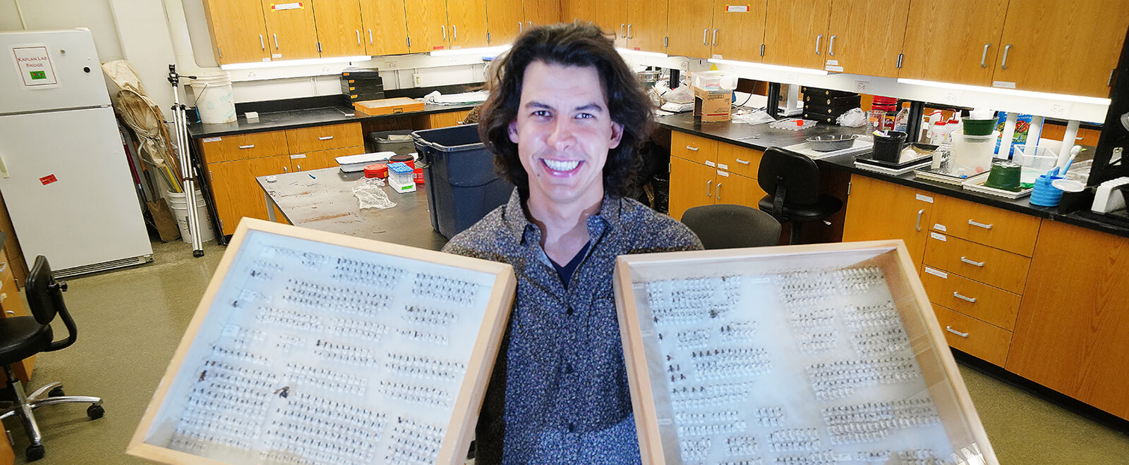 Pecenka holding two frames with dissect insects  