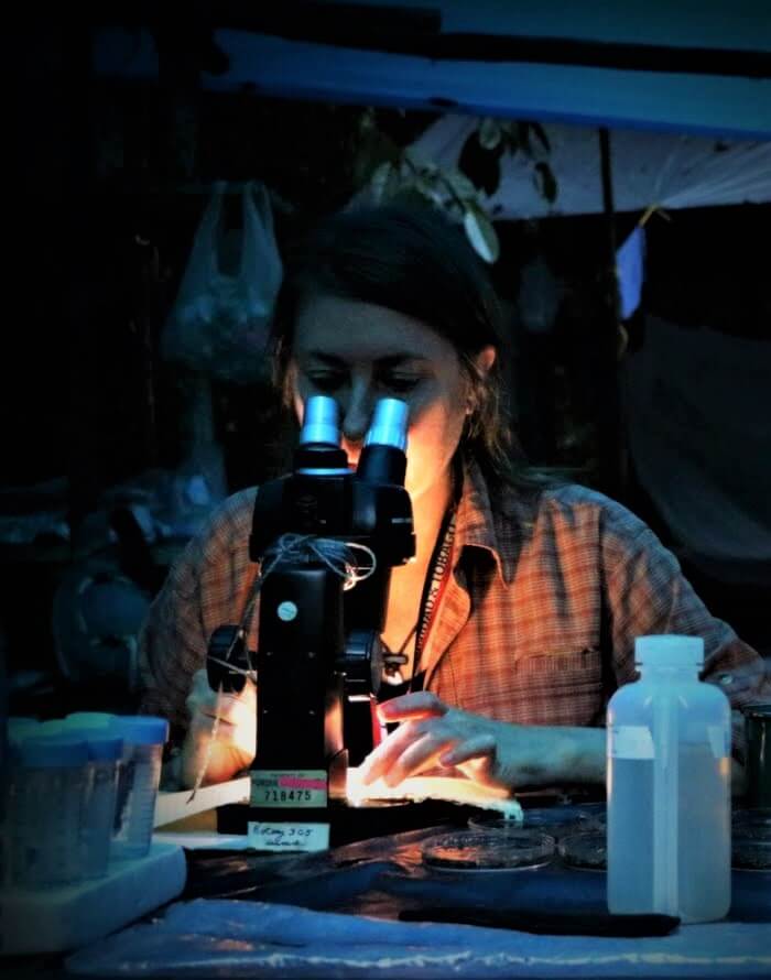 Cathie Aime inspects environmental samples through a microscope