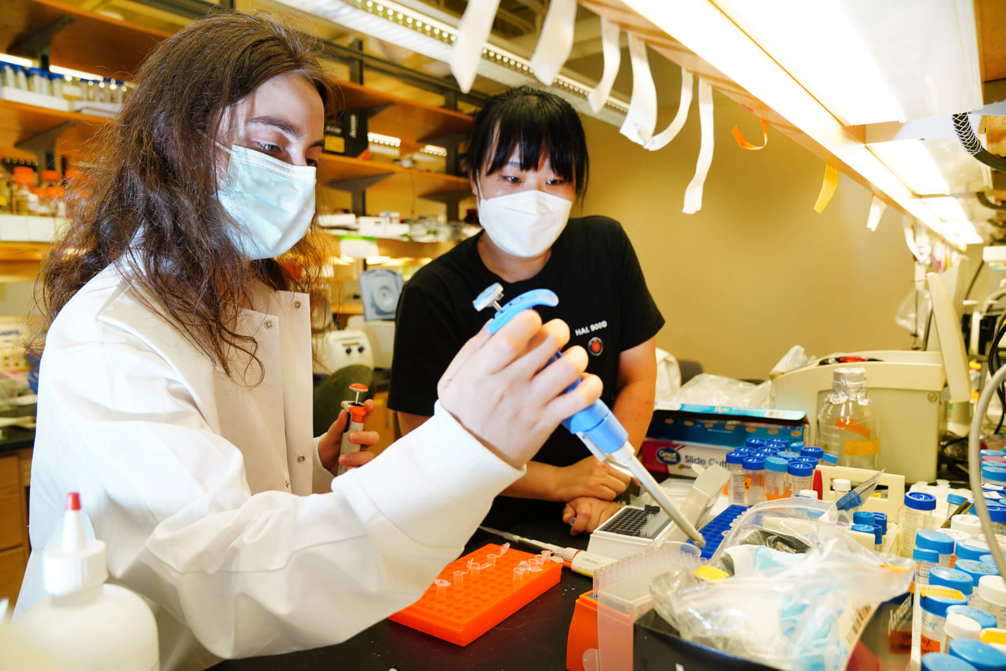 female students working in the lab