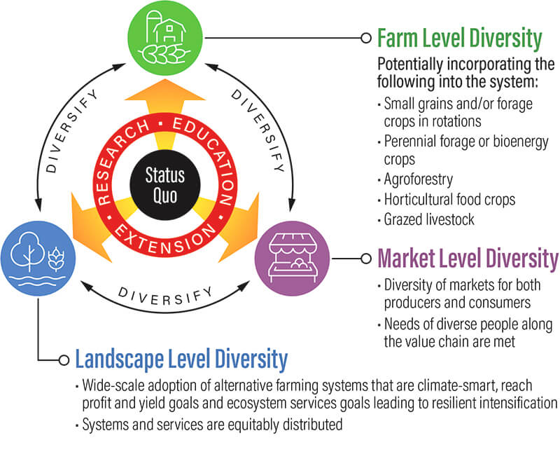 infographic diversity graphic (landscape, farm and market level)