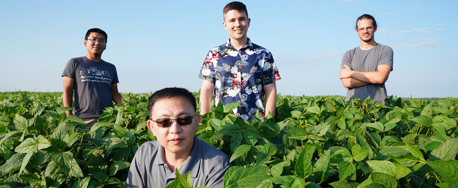 Researchers outdoors on a field (soybean plantation)