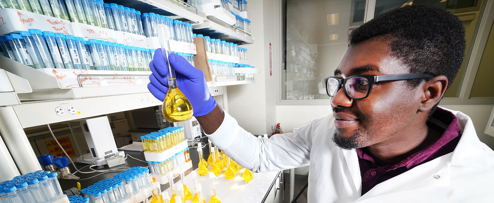 Doctoral student in the Department of Animal Sciences, Ayodeji Aderibigbe working in lab.