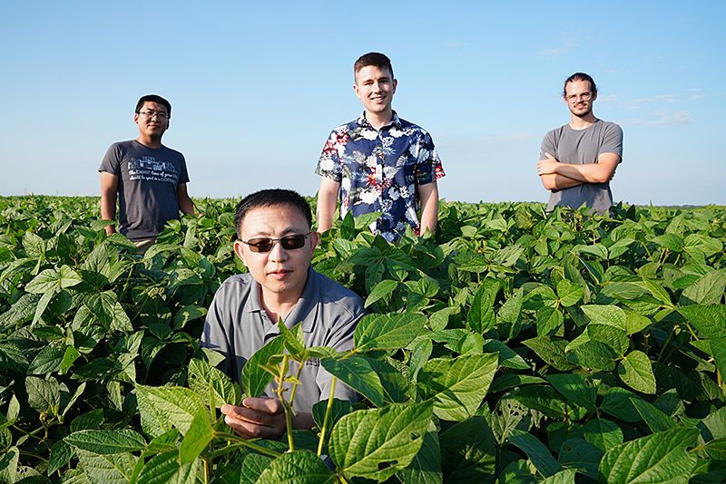 Jianxin Ma, professor of agronomy at Purdue University, holds the leaves of a soybean plant. Behind Ma, from left, are students Weidong Wang, Chance Clark and Dominic Provancal. Ma is working to improve soybean plants as part of Purdue’s Next Moves plant sciences initiative. (Purdue University photo/ by Tom Campbell)