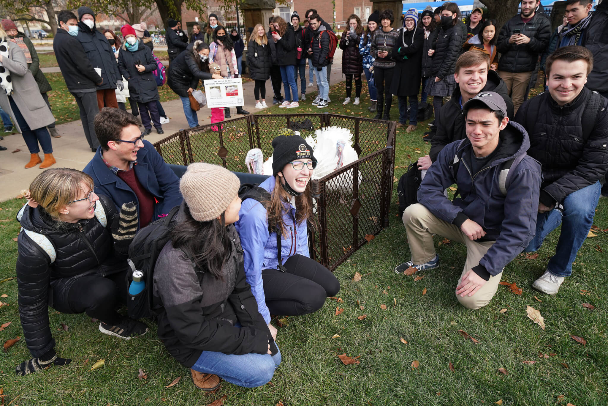 Turkeys arrive at Purdue