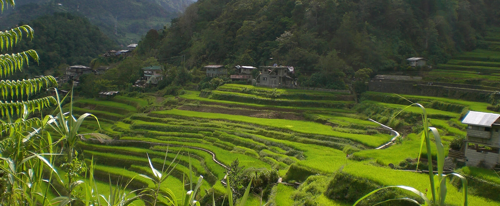 landscape open rural area in Philippines 