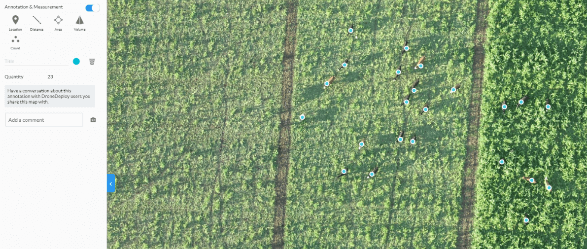counting animal from UAV image