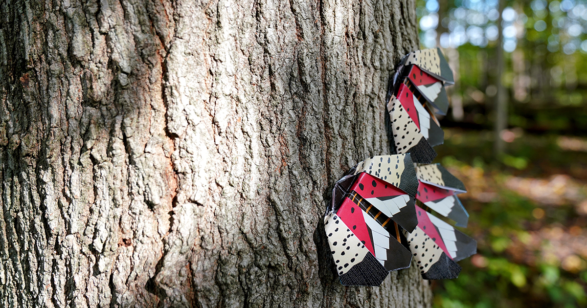 lanternfly origami stickers (made of paper) on a tree 