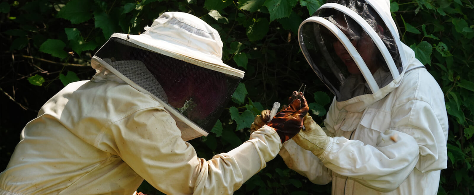 beekeepers