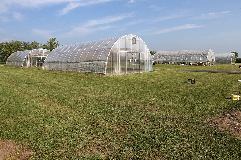 high tunnel greenhouse building