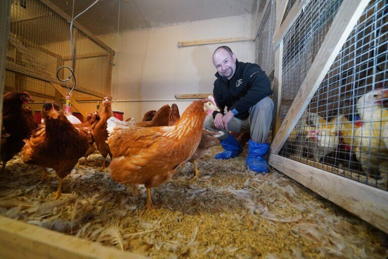 Karcher in indoor house system for chickens