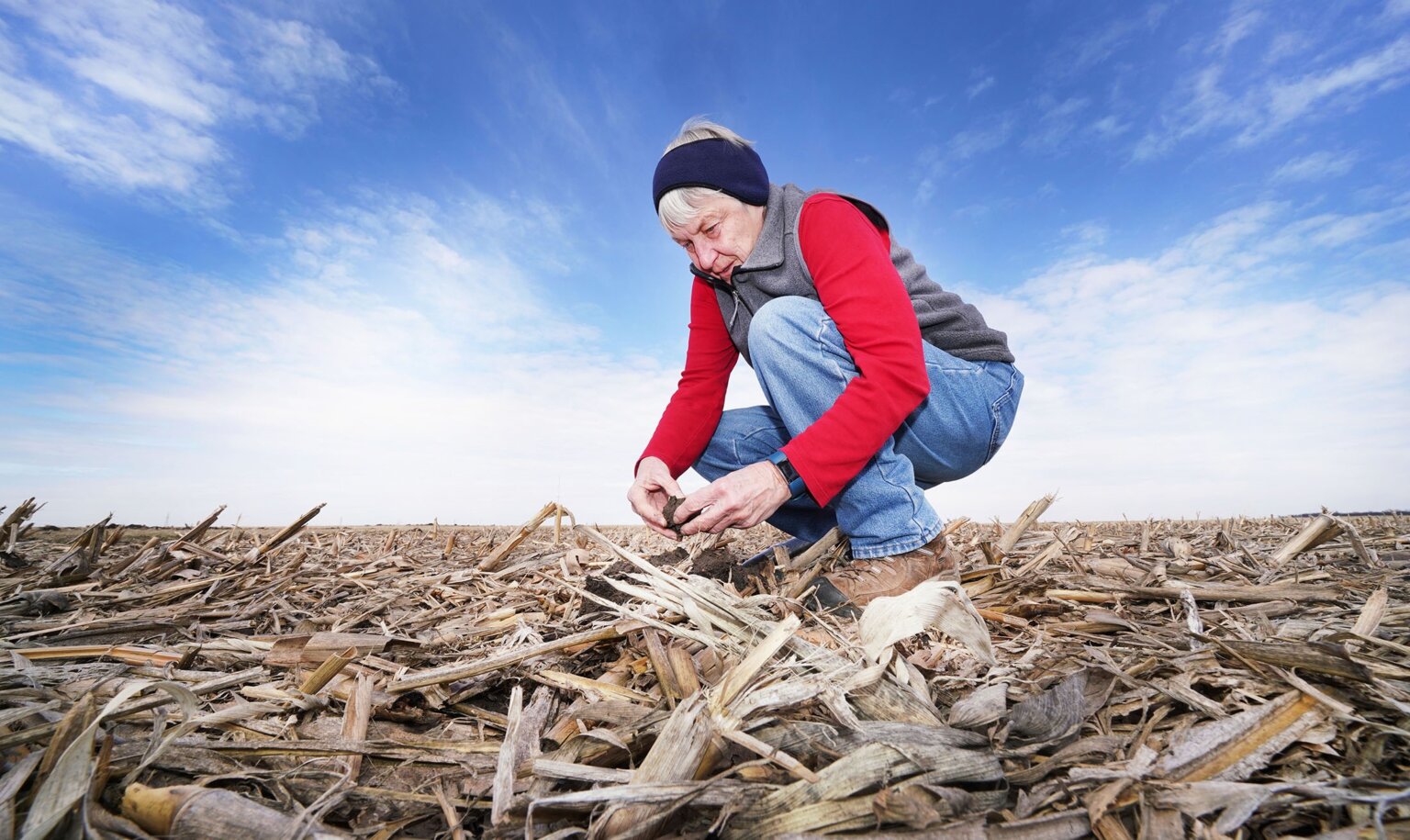 Kladivko examinanting soil in a cornfield 