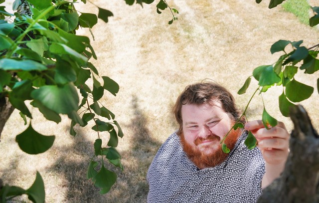 man touching a leaf on a tree