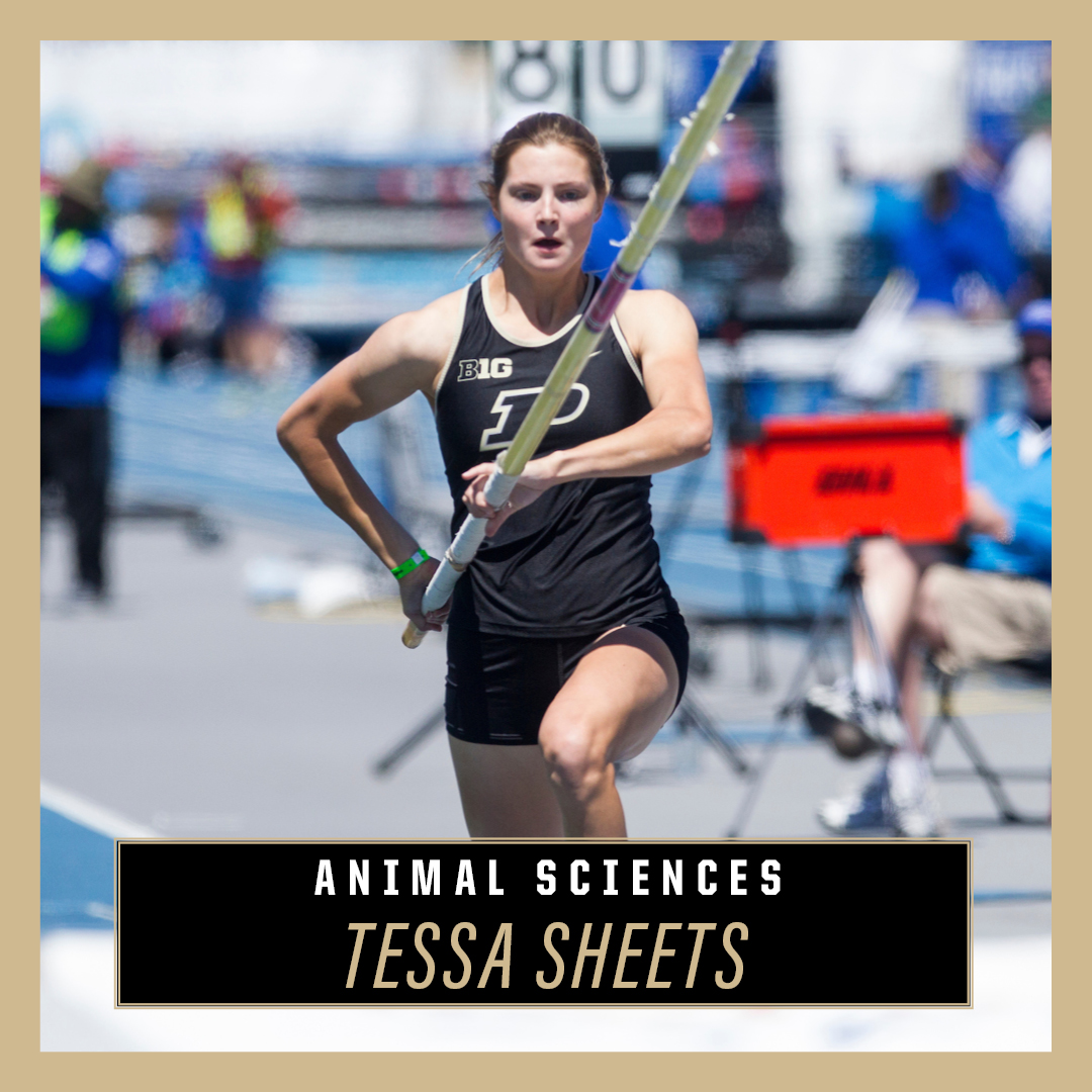 Tessa Sheets / Animal Sciences