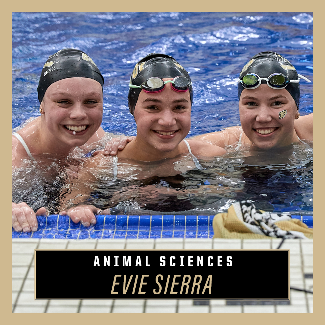 Evie Sierra / Animal Sciences