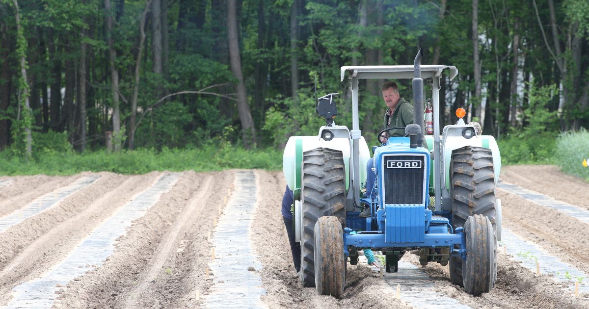 Picture of a man driving a tractor through a field 