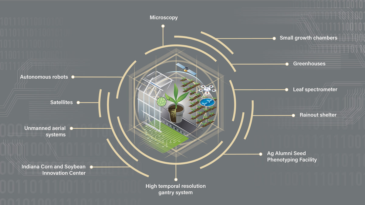 Multiscale Phenotyping