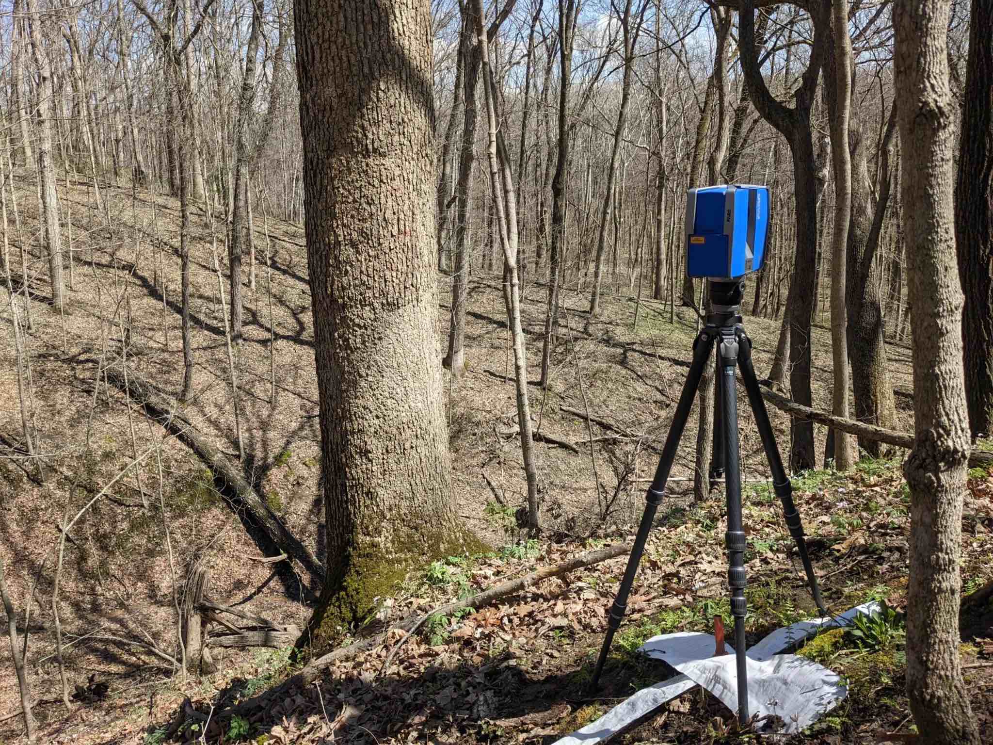 photo of lidar in the forest 