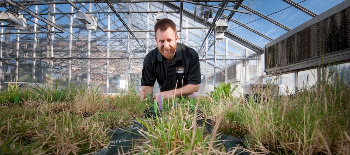 Professor Aaron Patton in a greenhouse with plants. 