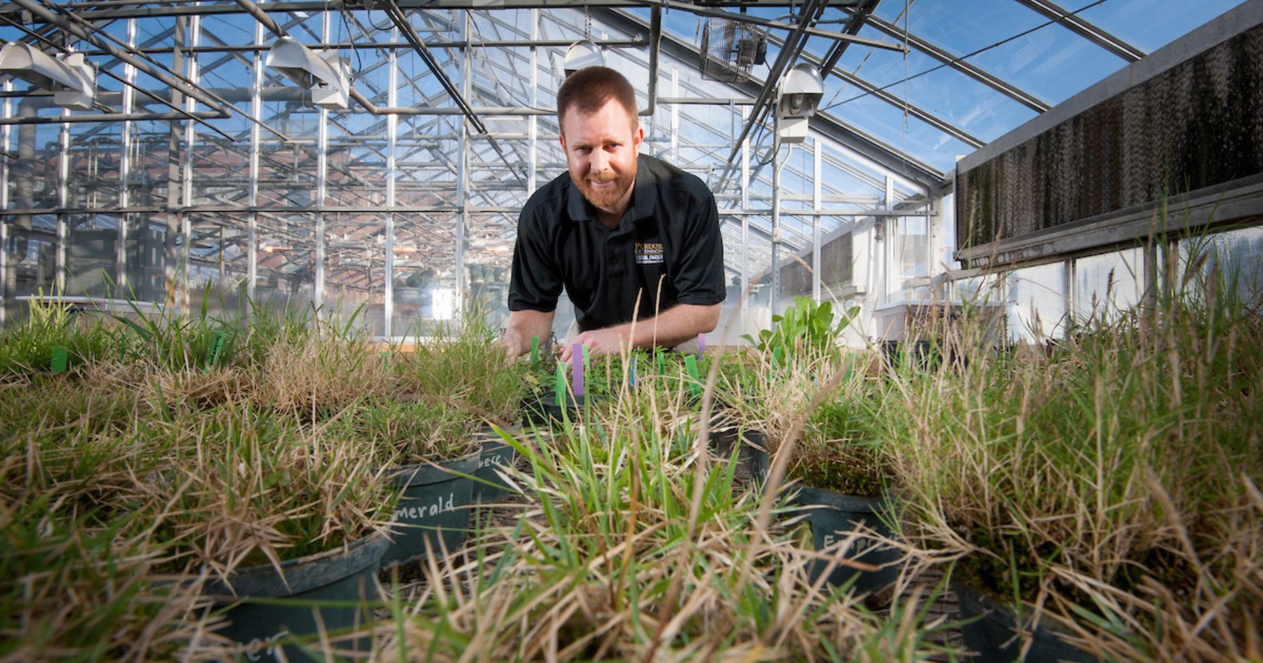 Professor Aaron Patton in a greenhouse with plants. 