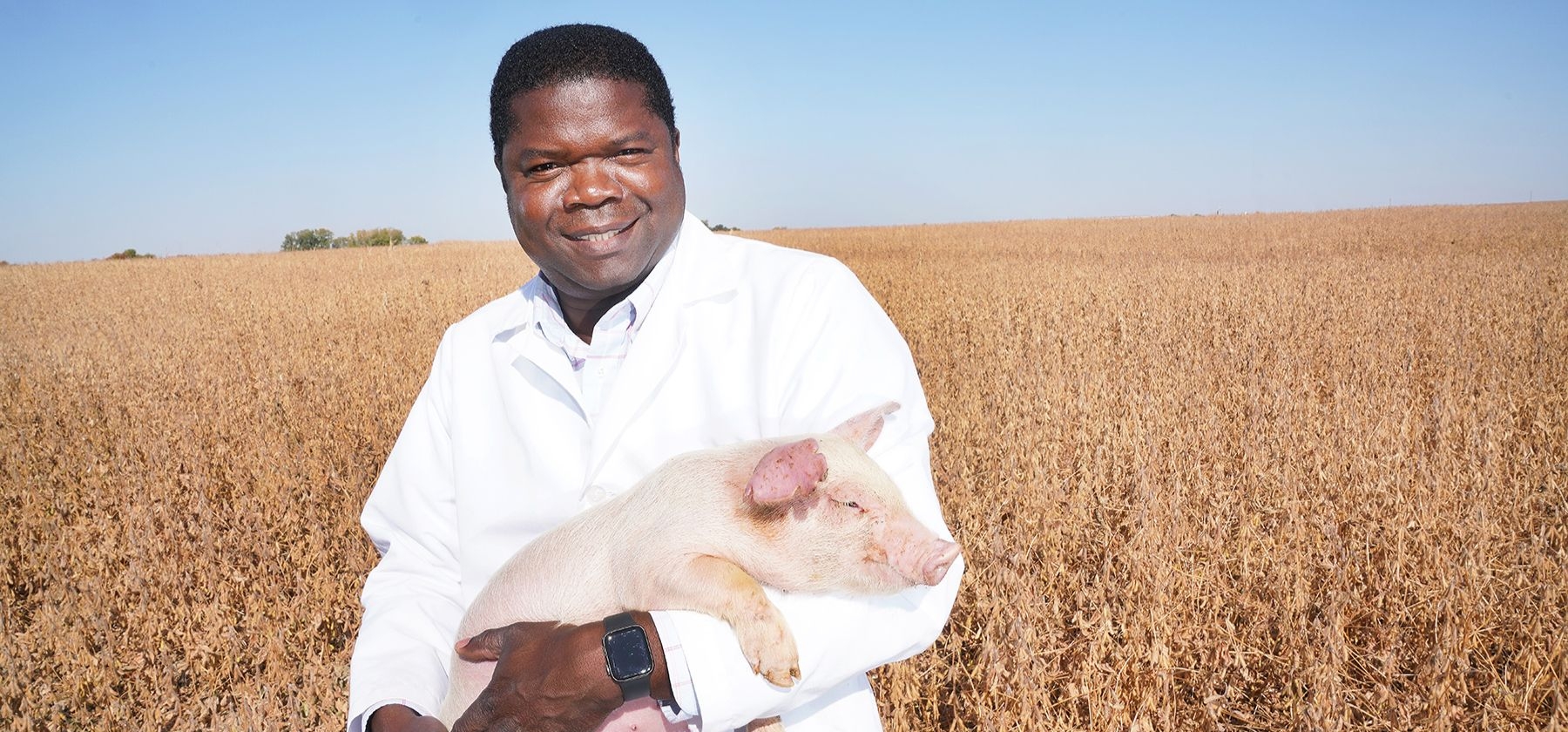 Professor Kola Ajuwon holding a pig in a field. 