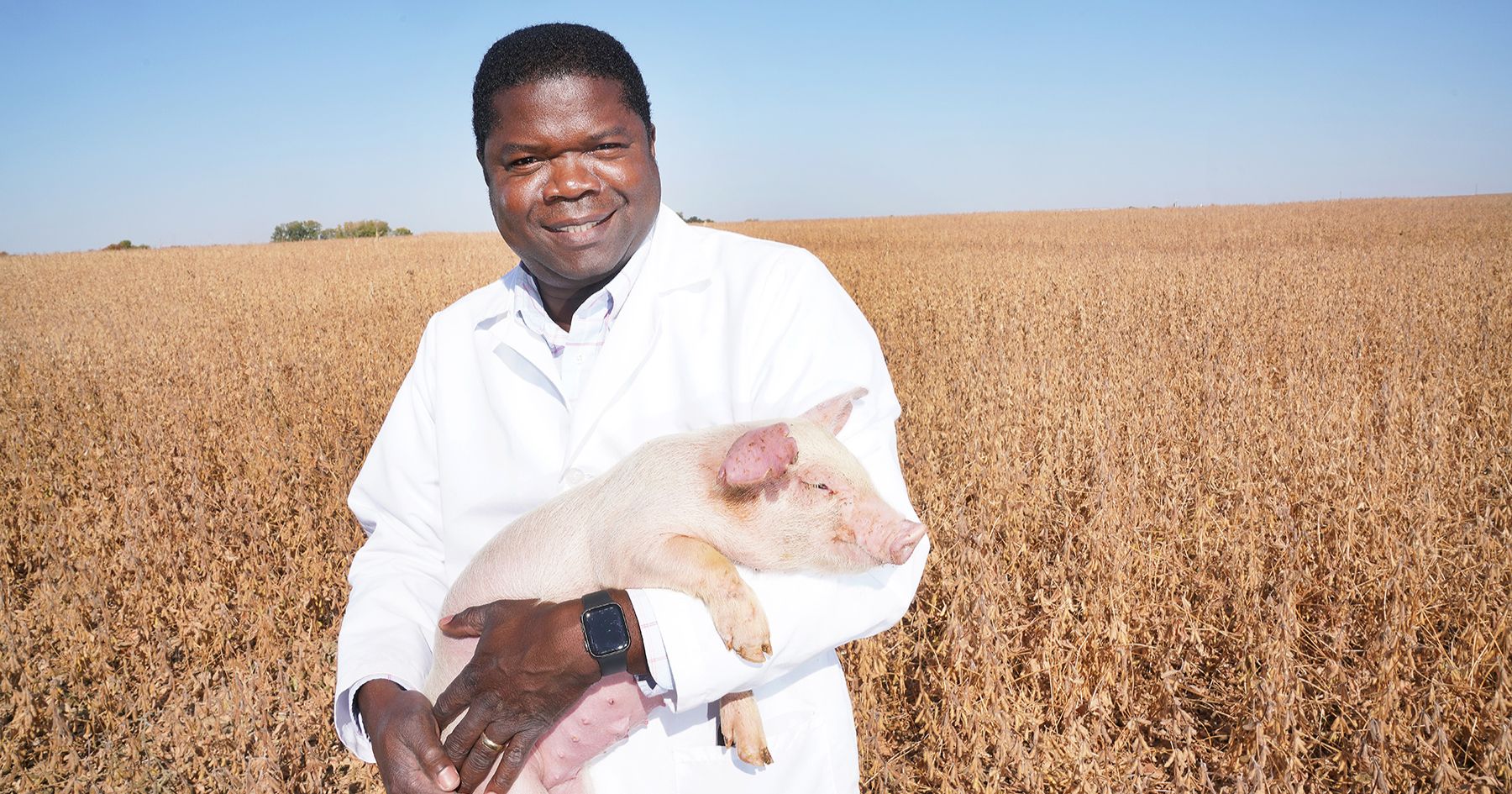 Professor Kola Ajuwon holding a pig in a field. 
