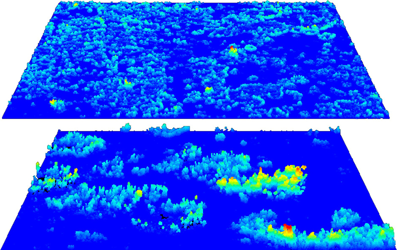 Two images comprised of 3D data to compare native grassland with an area invaded by shrubs