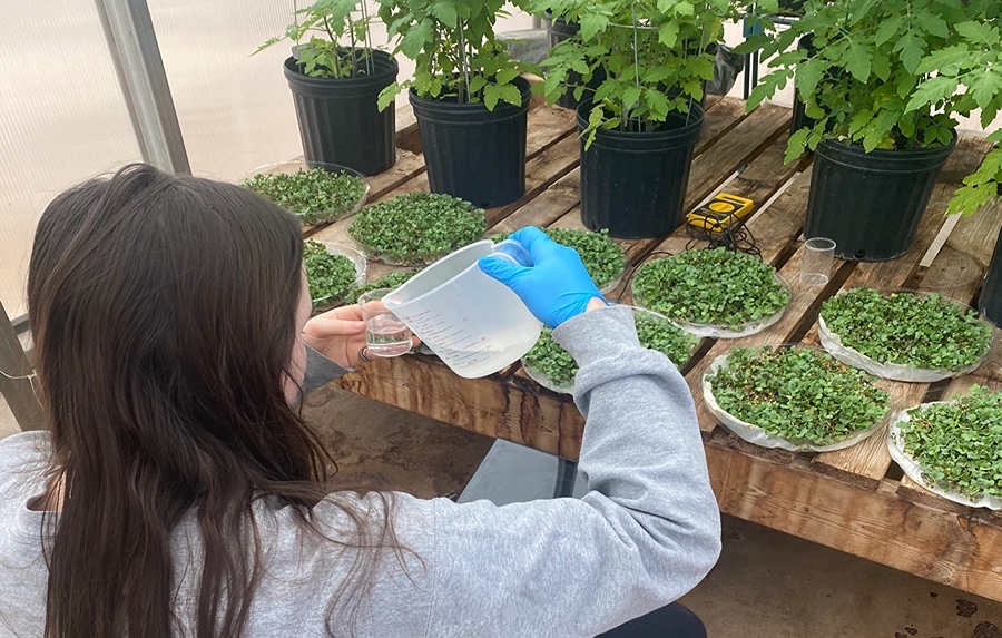 Woman watering plants