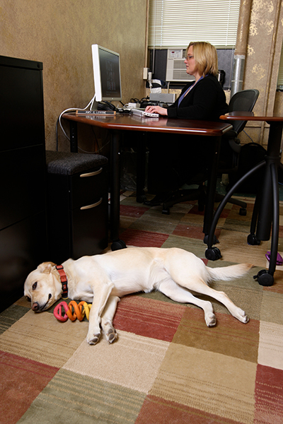 Dog laying on floor of office while a woman works. 