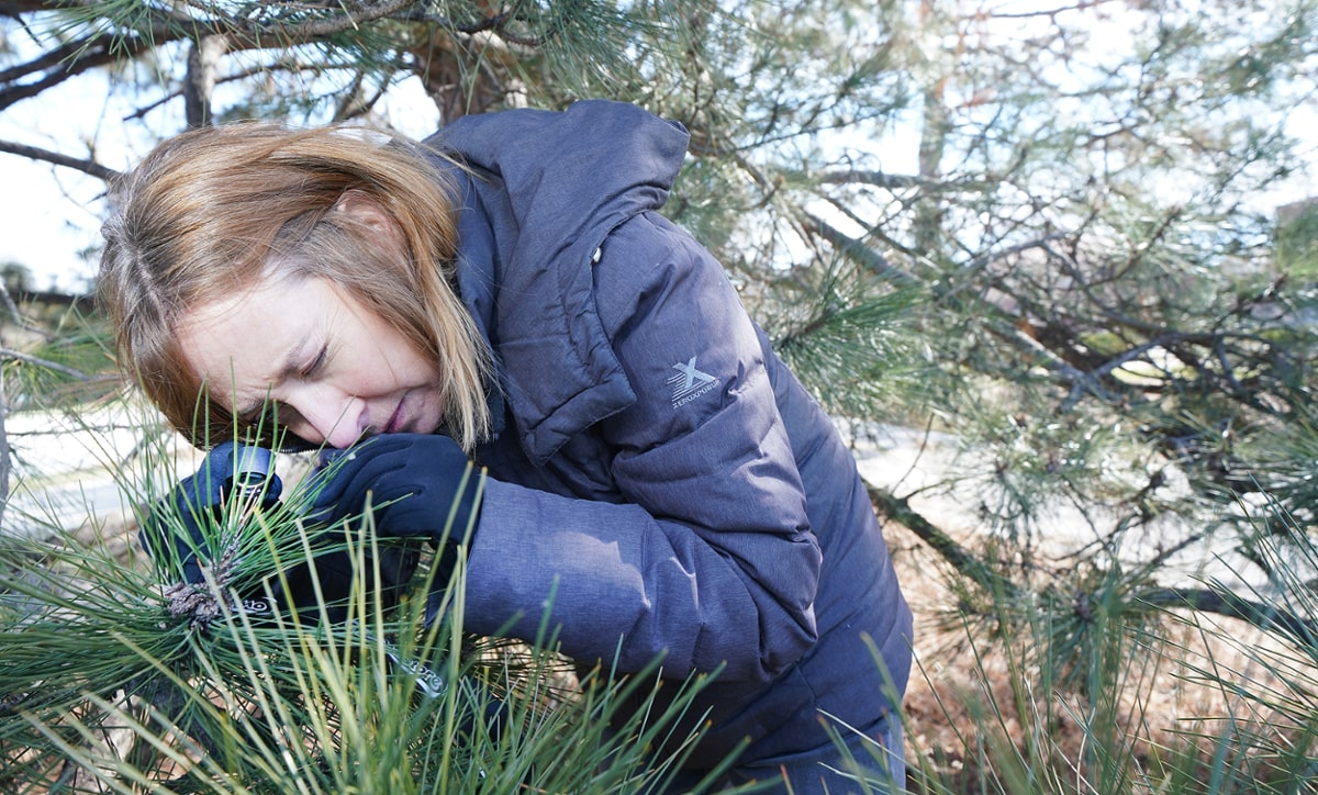 Janna Beckerman diagnosing a problem with a tree