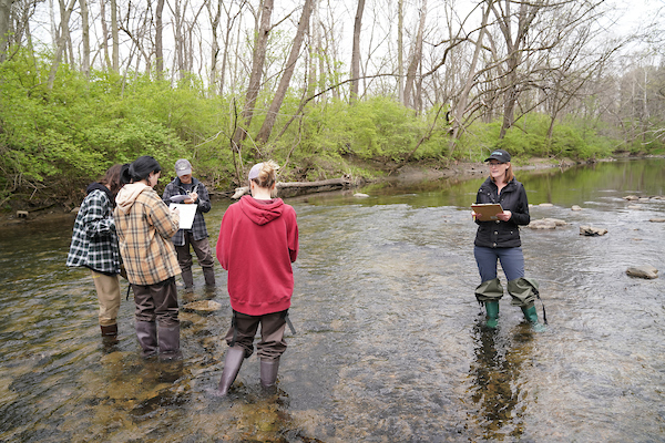 Laura Bowling stands in a creek with students while teaching.
