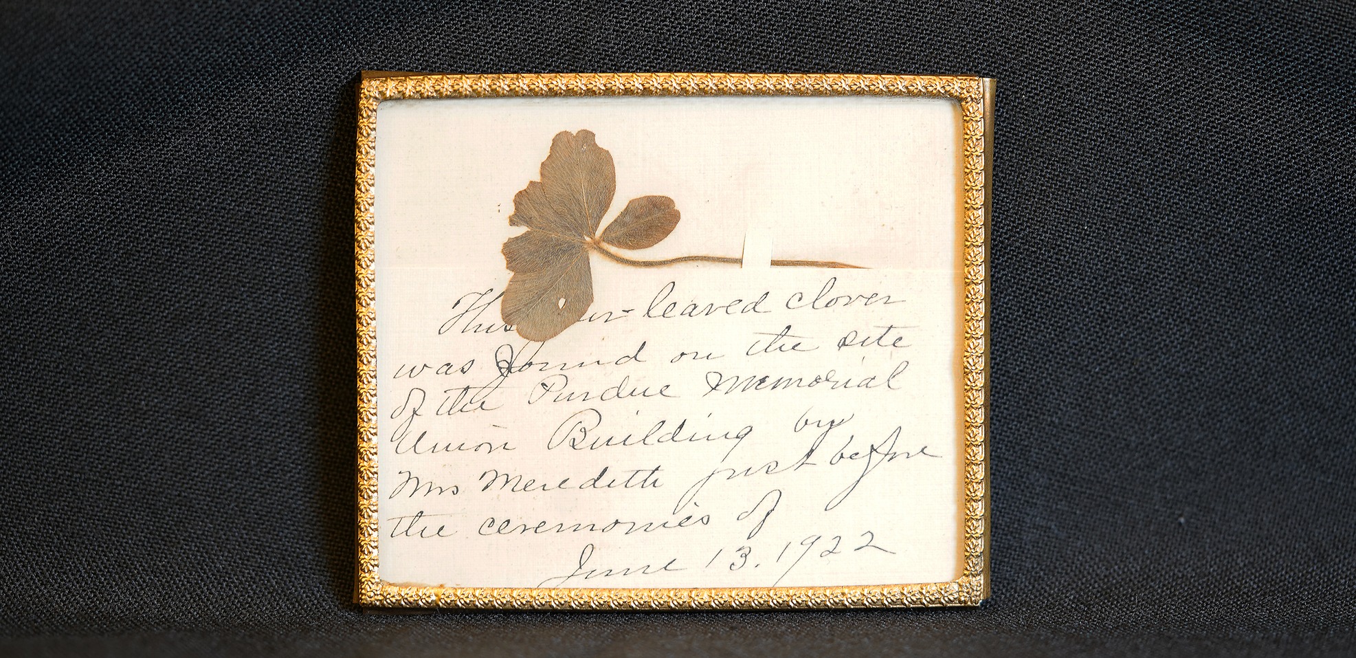 A pressed four leaf clover found by Virginia Meredith during the Purdue Memorial Union's grand opening.