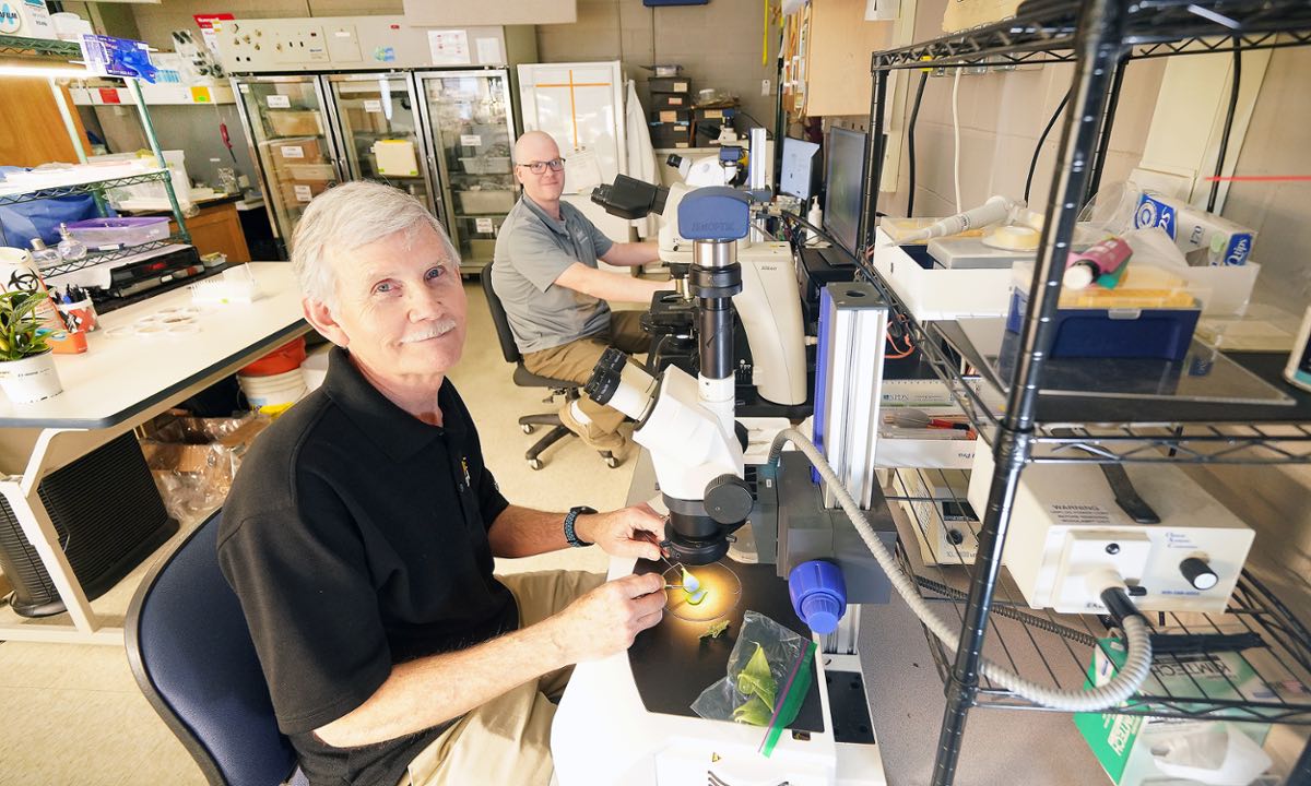 Scientists sitting in the Purdue Plant and Pest Diagnostic Lab