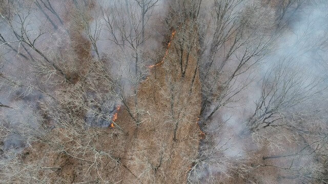 Aerial footage of a controlled burn. Photo by Jarred Brooke.