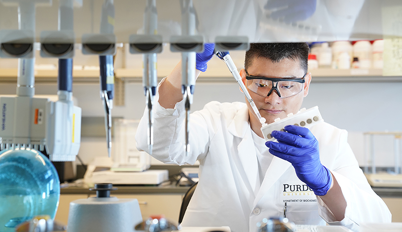 Marco Hadisurya, a doctronal student in biochemistyr at Purdue works in lab. 