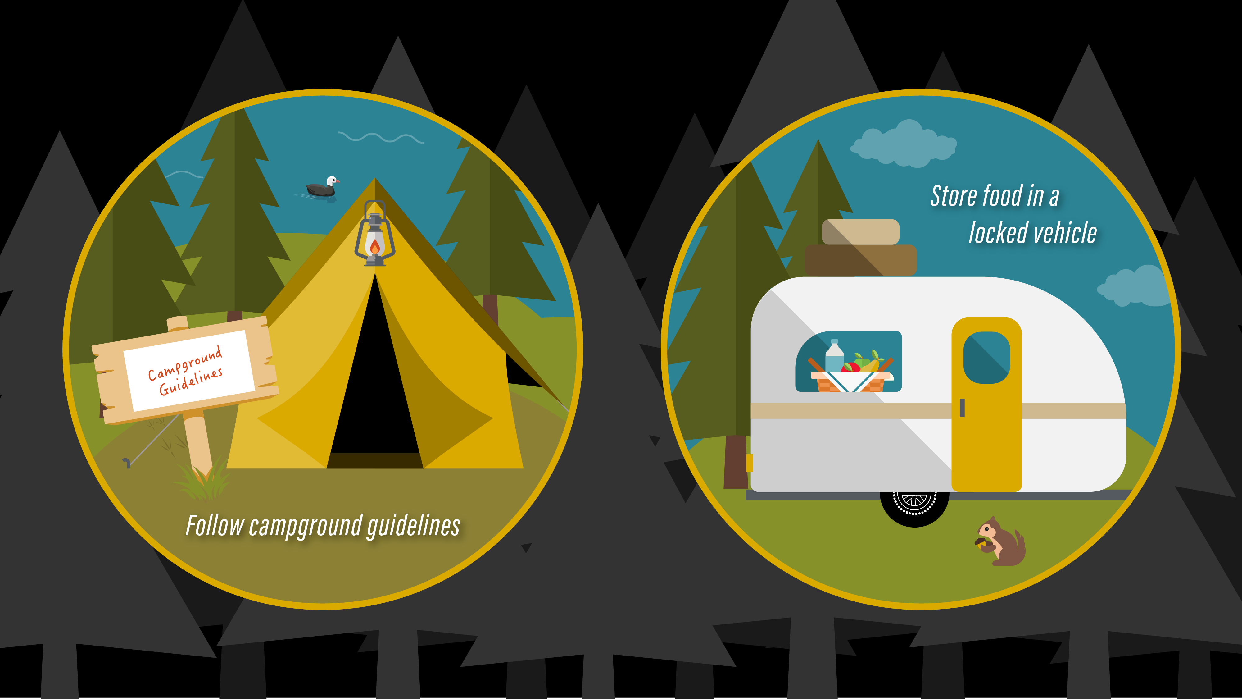 Follow campground guidelines; store food in a locked vehicle