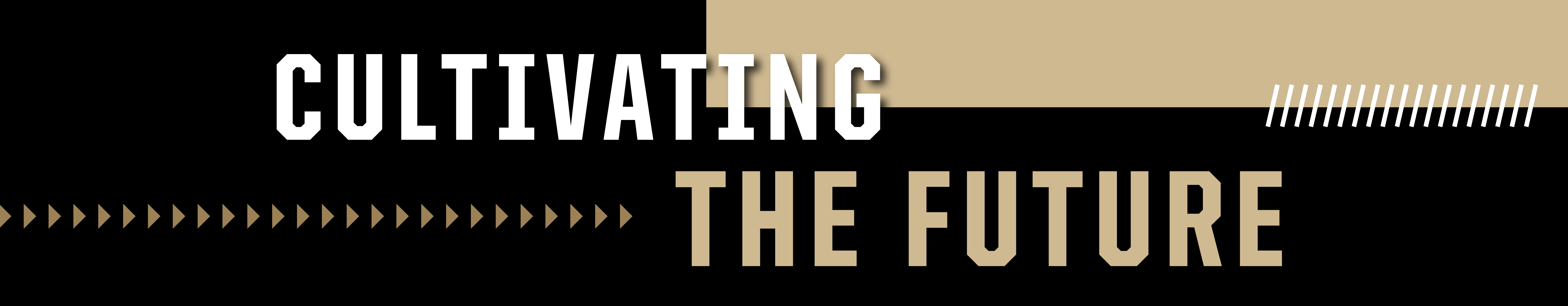 Cultivating the Future Graphics Banner