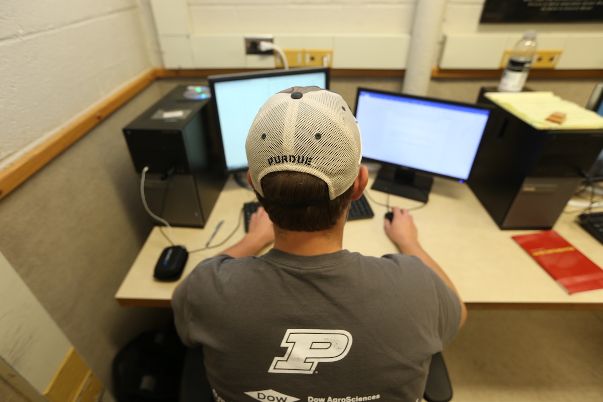 person using computer with dual monitors