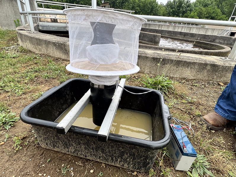 One of Lexi LaMar's gravid traps set up and ready to catch mosquitoes at the Alexandria, Indiana wastewater treatment plant