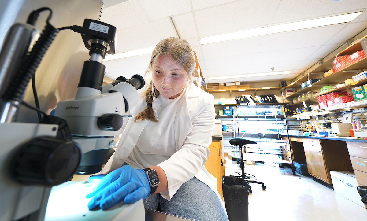 Baylee Riester focuses a plate of fern gametophytes under the microscope in her lab